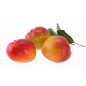 MANGO | 60ml SALT NIC| 25mg (Lix) MANGO | 60ml SALT NIC| 25mg (Lix)